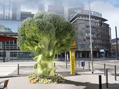 broccoli